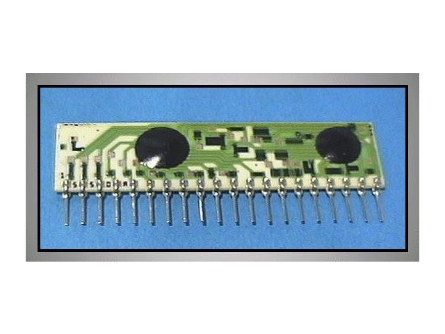 Circuit intégré HYBRAM-550A